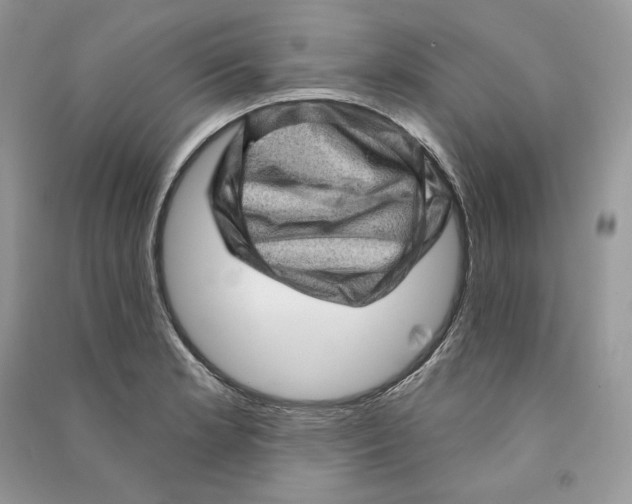 X0000090611181200708141345