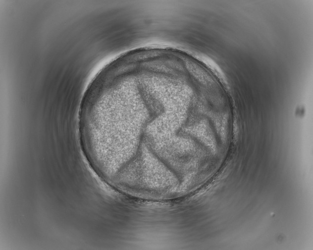 X0000090611183200708141345