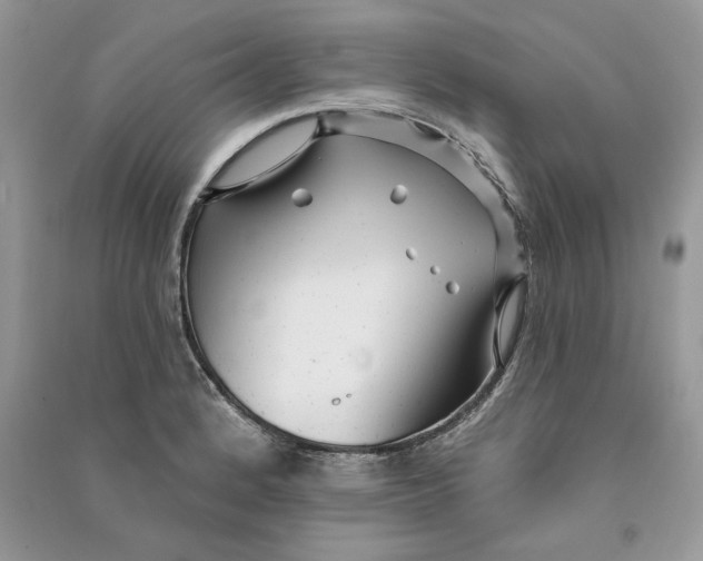 X0000090611184200708141345