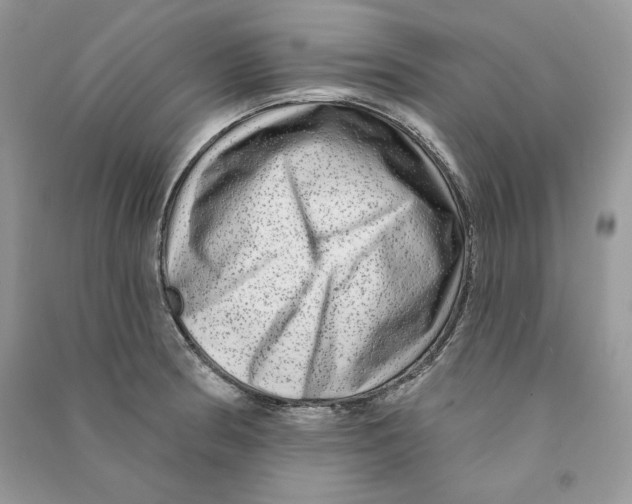 X0000090611186200708141345