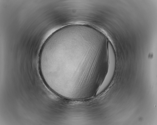 X0000090611187200708141345