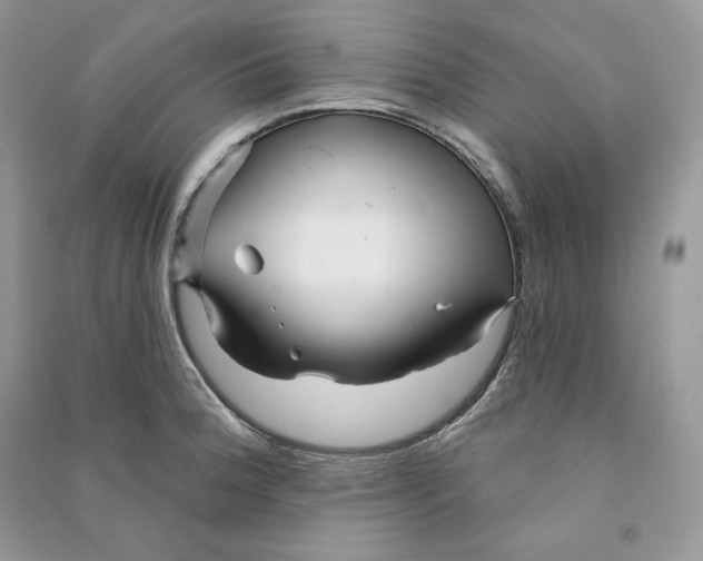 X0000090611188200708141345