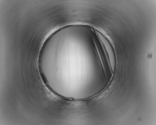 X0000090611189200708141345