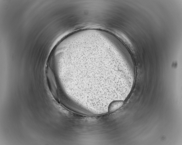 X0000090611190200708141345