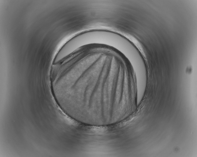 X0000090611191200708141345