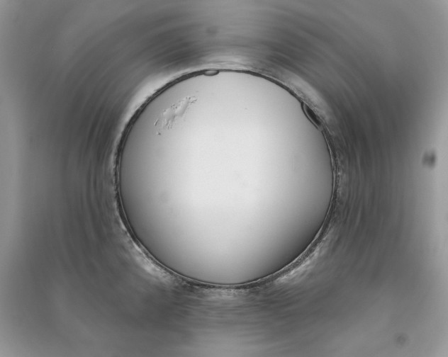 X0000090611192200708141345