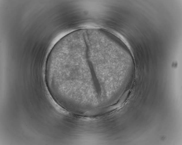 X0000090611195200708141345