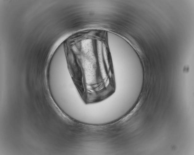 X0000090611196200708141344