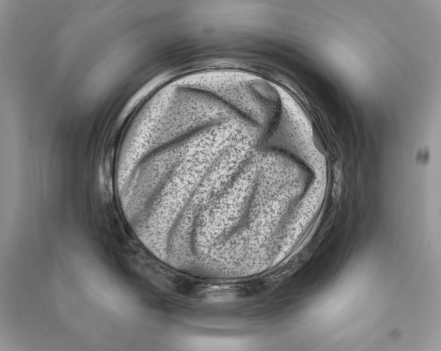 X0000090611198200708141344