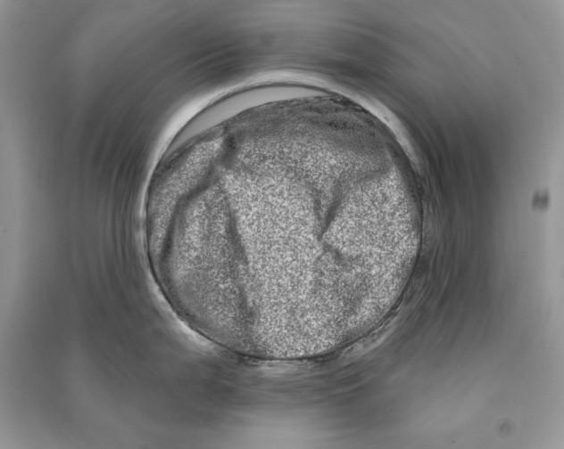 X0000090611199200708141344