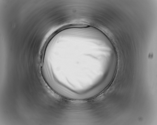 X0000090611200200708141344