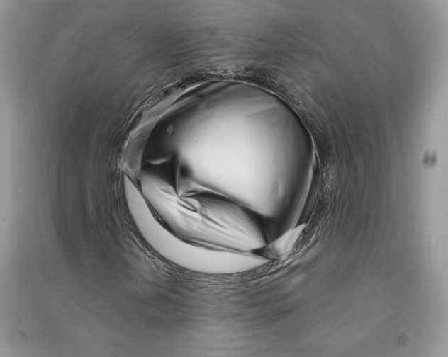 X0000090611202200708141344