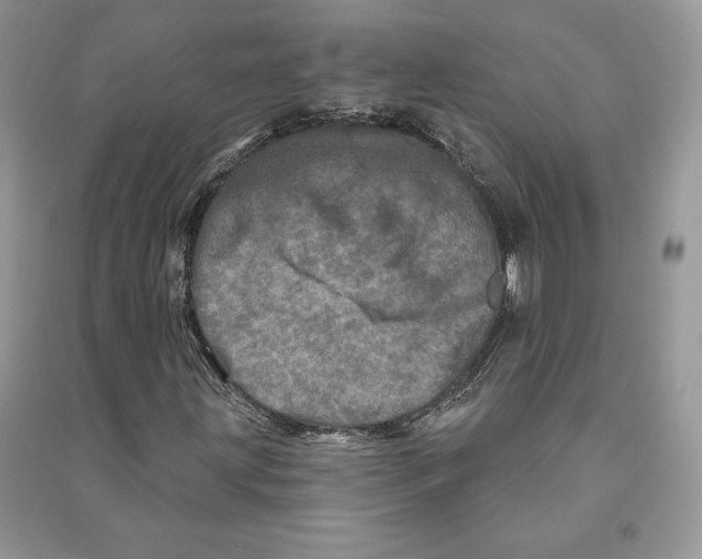 X0000090611203200708141344