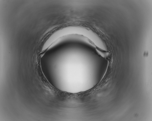 X0000090611206200708141344