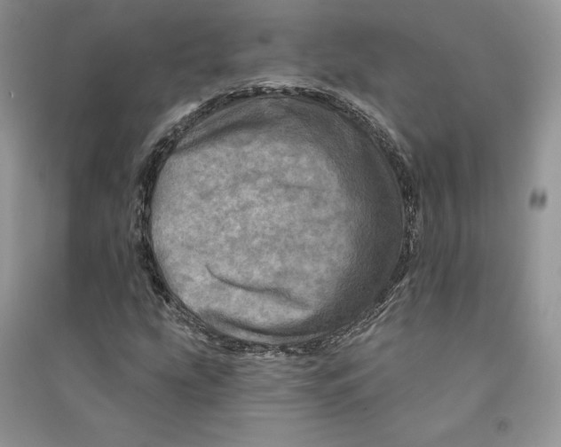 X0000090611207200708141344