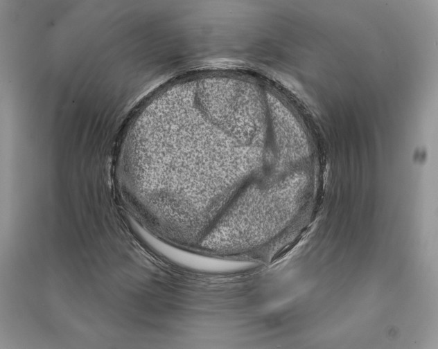 X0000090611209200708141344