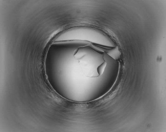 X0000090611210200708141344