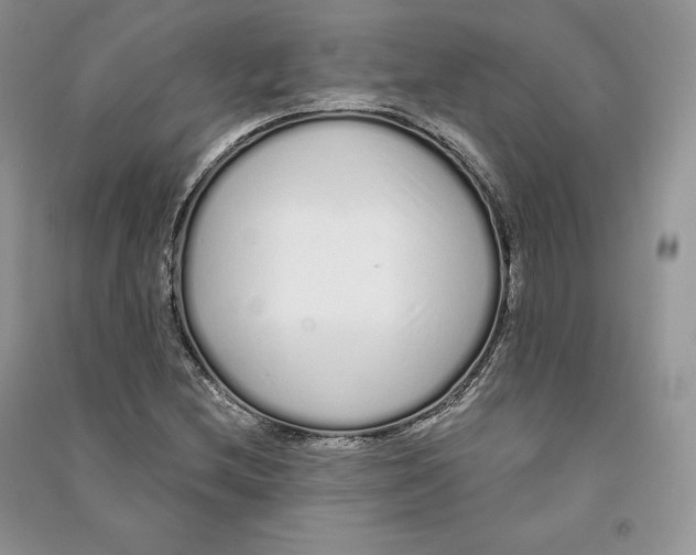 X0000090611212200708141344