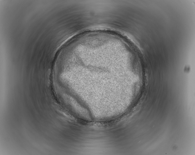 X0000090611217200708141344