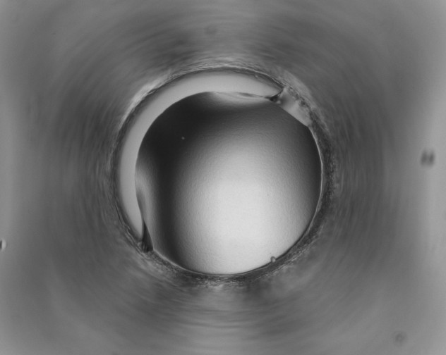 X0000090611218200708141344