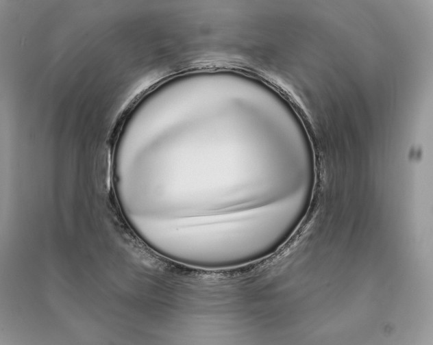 X0000090611219200708141344