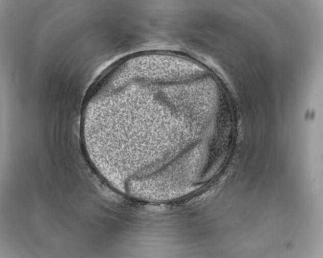 X0000090611220200708141344