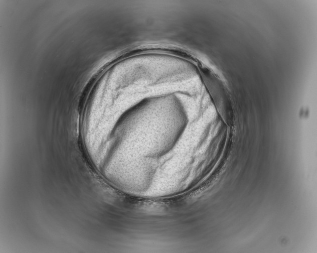 X0000090611221200708141344