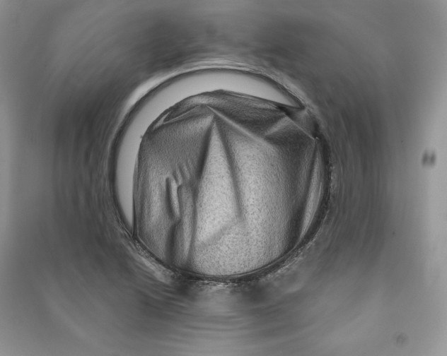 X0000090611222200708141344