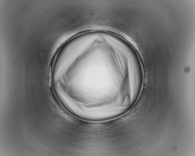 X0000090611223200708141344