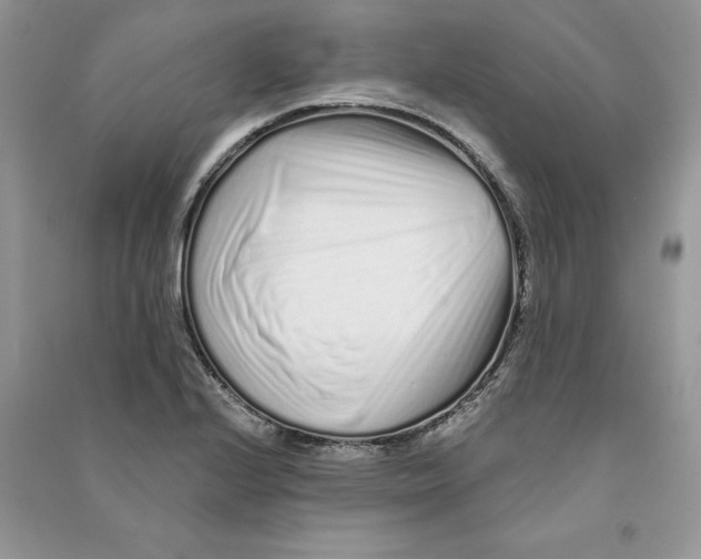 X0000090611224200708141344