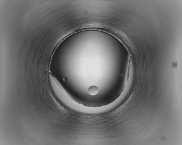 X0000090611225200708141344