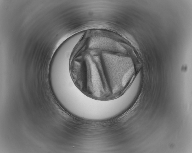 X0000090611226200708141344