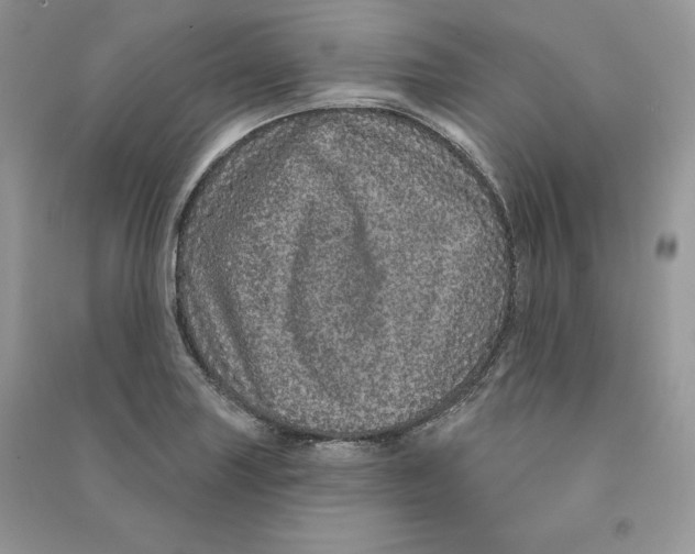 X0000090611227200708141344