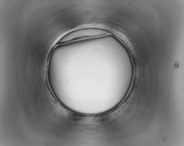 X0000090611228200708141344