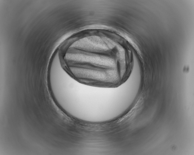 X0000090611229200708141344