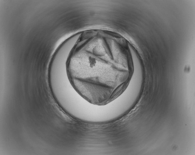 X0000090611230200708141344