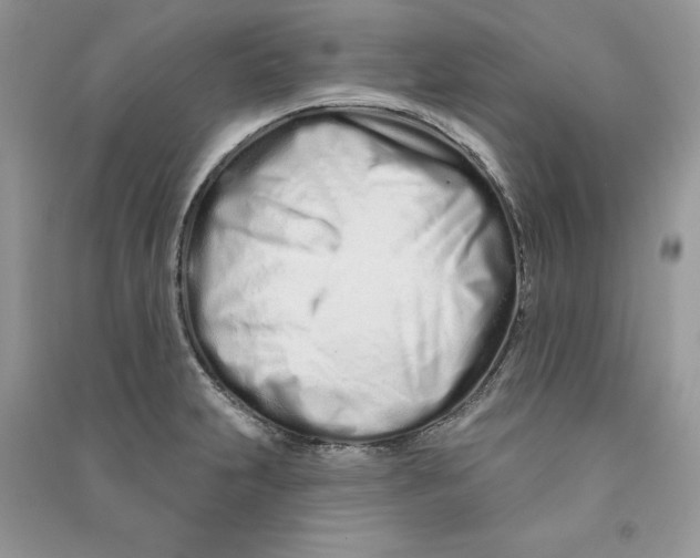 X0000090611231200708141344