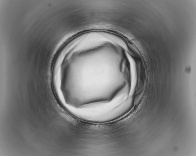 X0000090611232200708141344