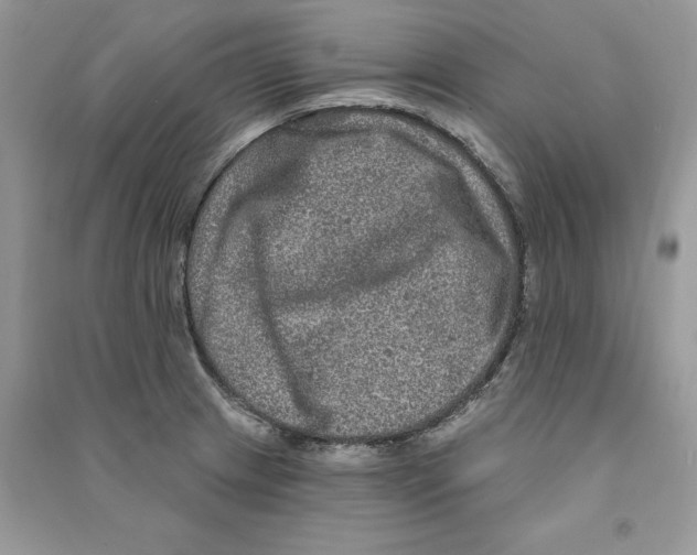 X0000090611233200708141344