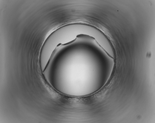 X0000090611234200708141344