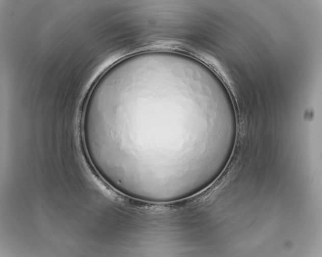 X0000090611235200708141344