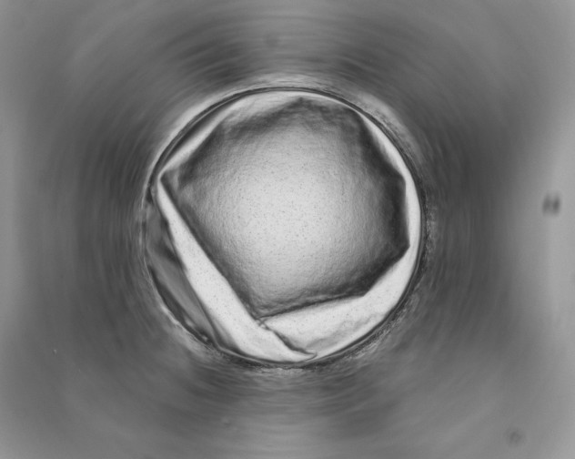 X0000090611236200708141344