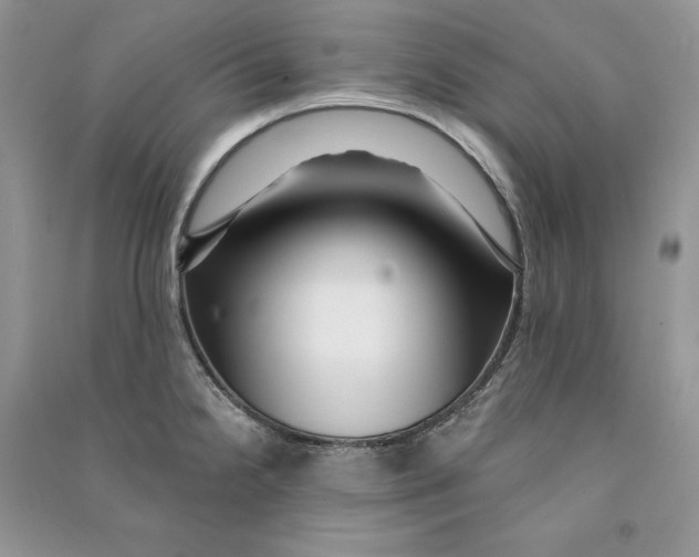 X0000090611238200708141344