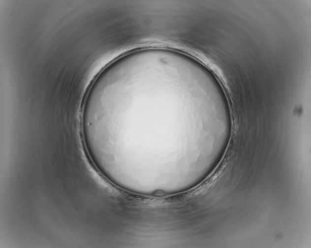 X0000090611239200708141344