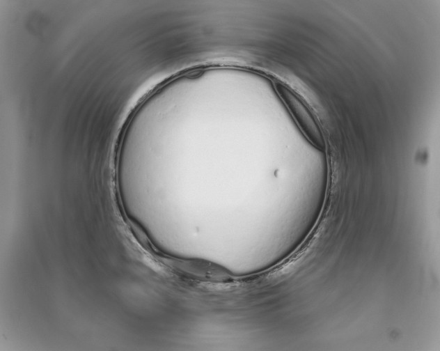 X0000090611240200708141344