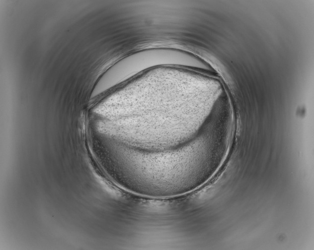 X0000090611241200708141344