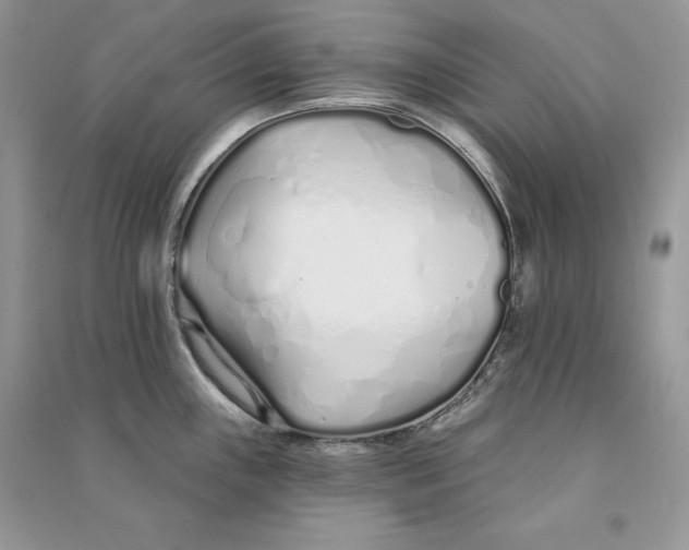 X0000090611243200708141344