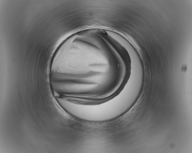 X0000090611246200708141344