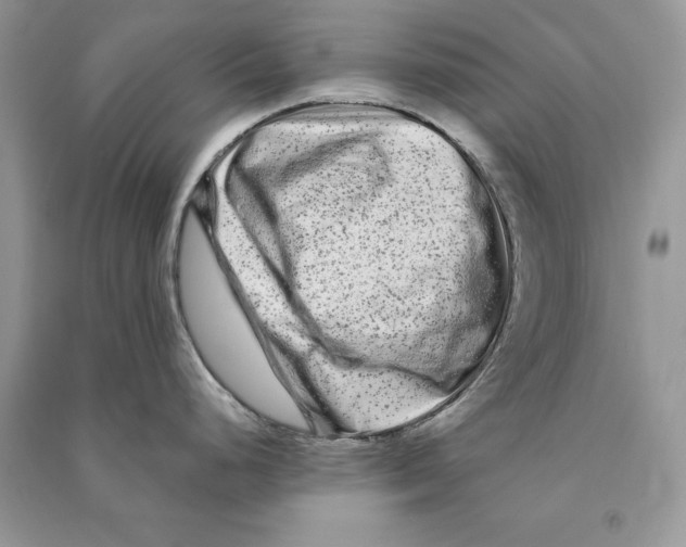 X0000090611248200708141344