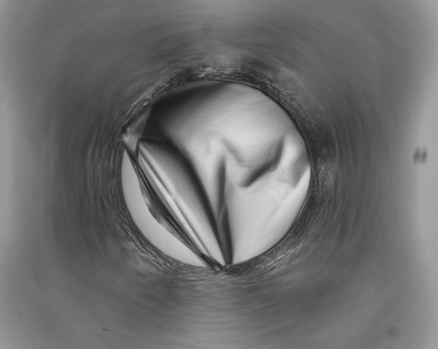 X0000090611250200708141344